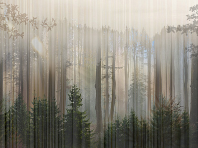 Фотообои Foresta 7, FORESTA, Wall street Фотообои Foresta 7, FORESTA, Wall street